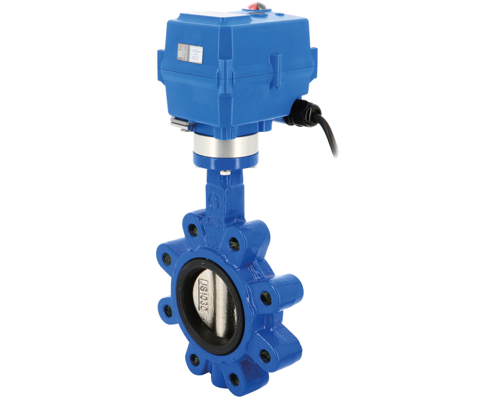 Ductile iron butterfly valve 1133 + TCR electric actuator